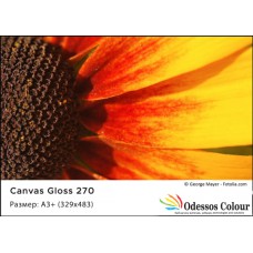 Фотохартия А3+ (329x483) CANVAS GLOSS 270 гр. - 20 листа